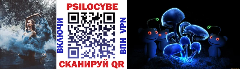 блэк спрут ссылка  купить наркотики цена  Череповец  Галлюциногенные грибы Cubensis 